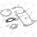 Garnituri drujba Husqvarna 51, 55 Set 